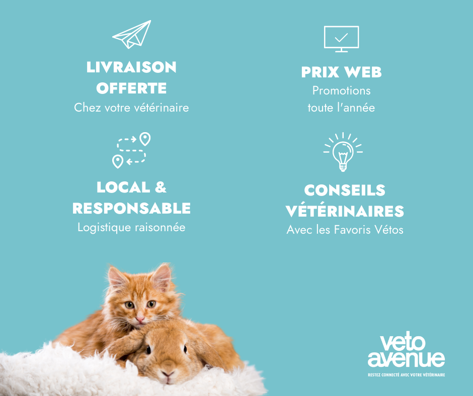 veto avenue boutique veterinaire en ligne