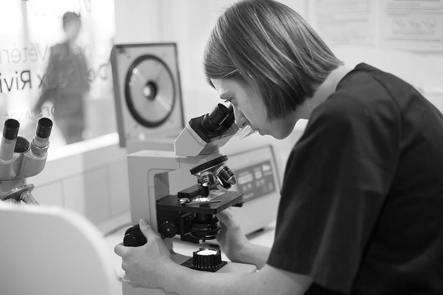Analyses de laboratoire